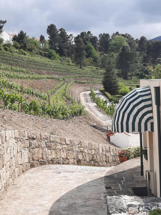 Quinta Da Timpeira Guest House Ламего Екстериор снимка