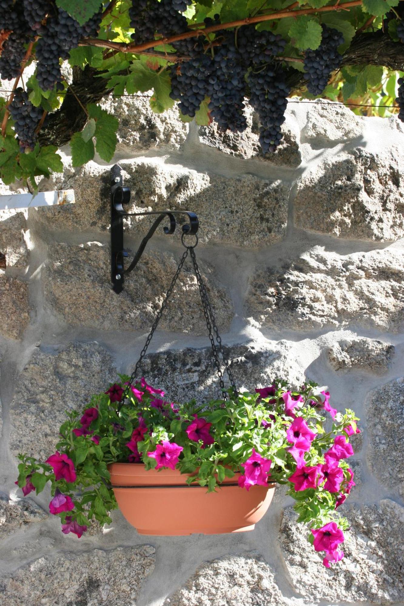 Quinta Da Timpeira Guest House Ламего Екстериор снимка