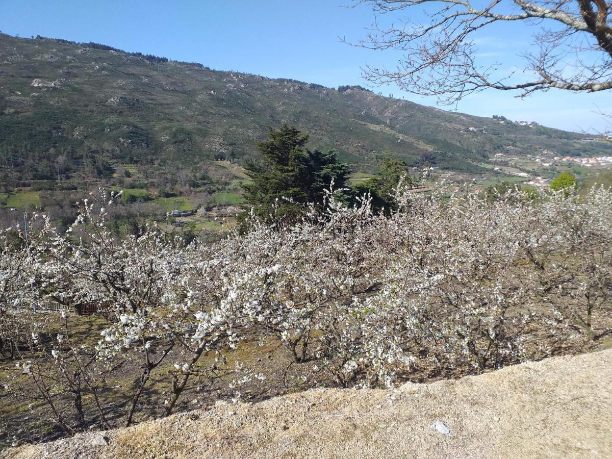 Quinta Da Timpeira Guest House Ламего Екстериор снимка